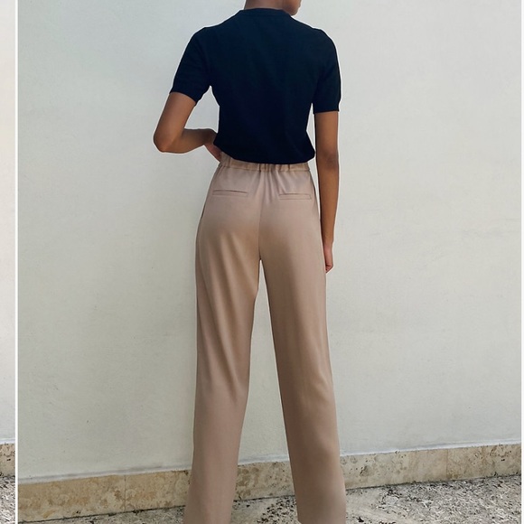 Aritzia Tio pant (wide/straight leg trouser) - Picture 4 of 5